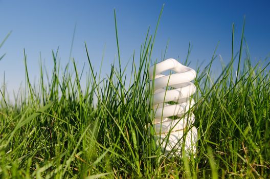 energy saving lamp in green grass