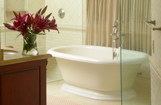modern bathroom interior with luxurious bathtub 