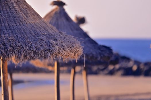 Row of straw sunshades on the sea coast