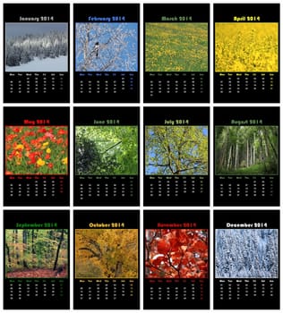 Colorful nature english calendar for 2014 in black background