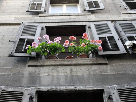 An flowery window in old city, Geneva, Switzerland