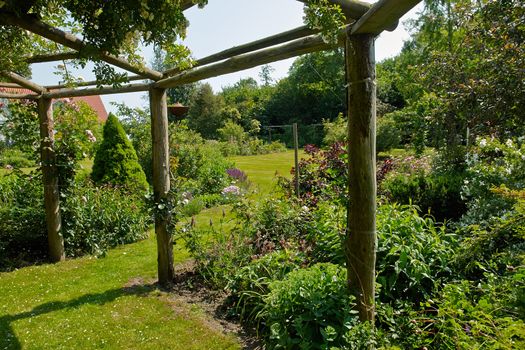 Wooden pergola gazebo in a beautiful blooming garden full of flowers and green plants