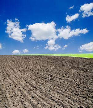 agricultural black field under deep blue sky with clouds