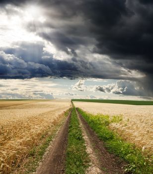 rural road under dramatic sky