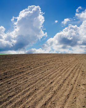 ploughed field