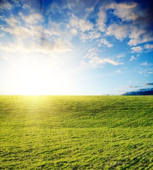 field of grass and cloudy sky on sunset