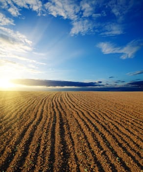 black ploughed field and sunset