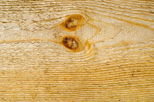 wood closeup as textured background