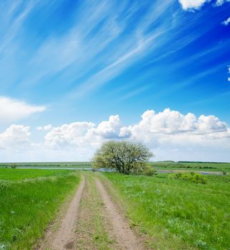 rural road under cloudy sky