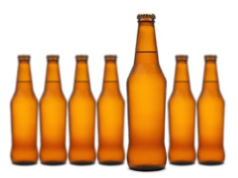 A beer bottle stands out from a group of seven.