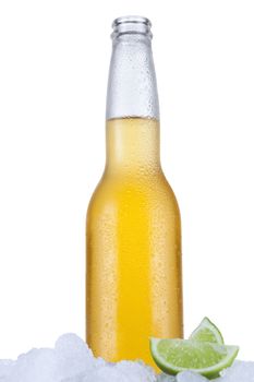 Mexican beer sitting on ice over a white background.