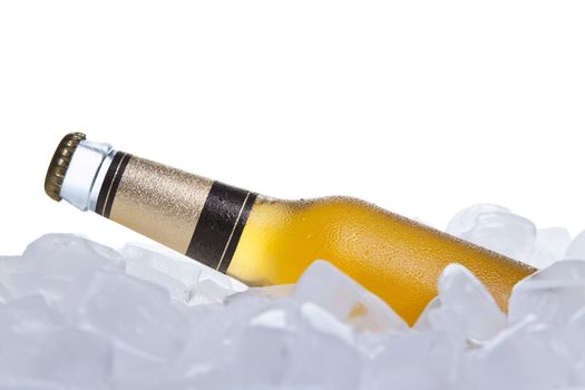 A bottle of beer buried on ice.