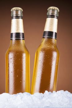 Two beer bottles sitting on ice over a brown background.