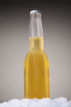 Mexican beer sitting on ice over a gray background.