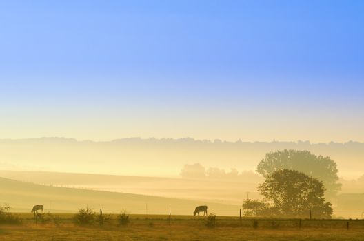 rural landscape at dawn