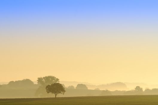rural scene at dawn