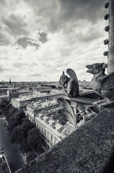 view from the Cathedral of Notre Dame in Paris