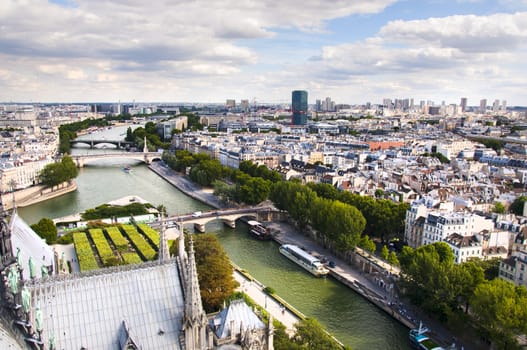 view from the Cathedral of Notre Dame in Paris