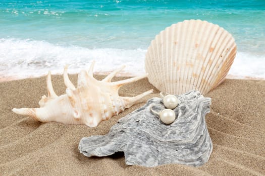 two pearl earrings and shells on sand with sea background