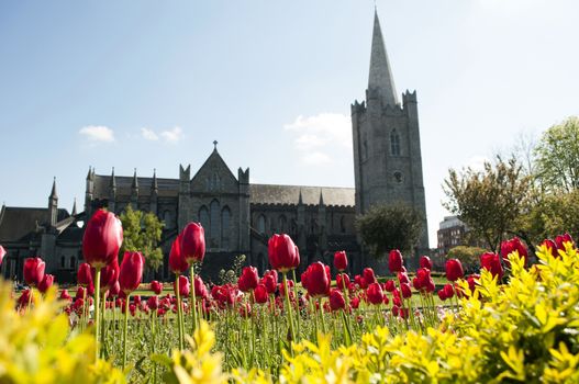 Saint Patrick's Cathedral in Dublin, also known as The National Cathedral and Collegiate Church of Saint Patrick, Dublin, was founded in 1191