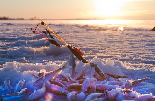 smelled fishing on the sea in March