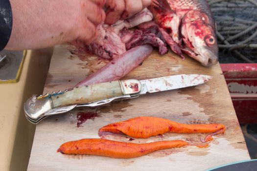 process of cutting of fresh sea fish