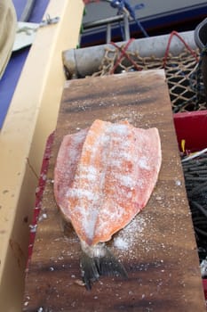 process of salting of fresh sea fish