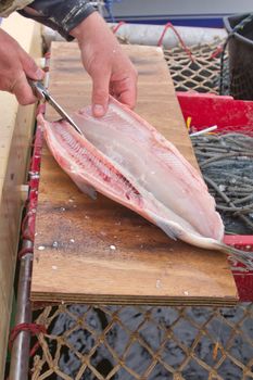 process of salting of fresh sea fish