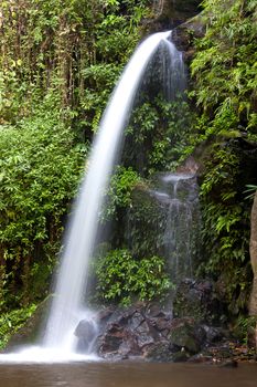 Monta waterfall creek nature of these en room tapioca root fresh tropical greenery.