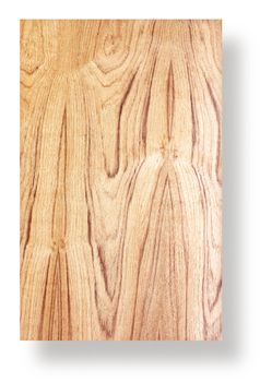 color pattern of teak wood decorative surface