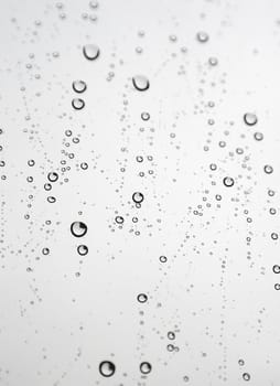 Drops of rain on the window (glass). Shallow DOF.