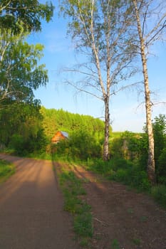 Beautiful summer landscape with village house in the evening forest