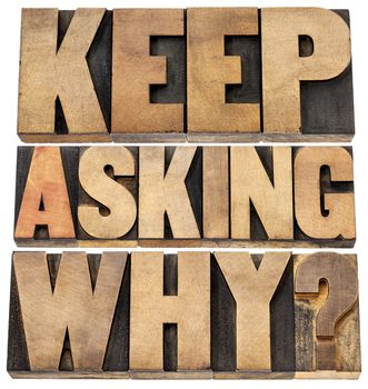 keep asking why  - motivational advice - a collage of isolated text in letterpress wood type blocks