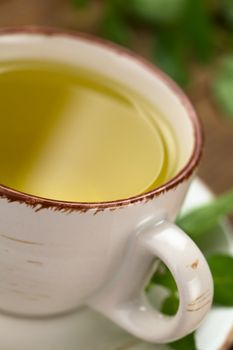 Freshly prepared mint tea out of fresh leaves served in a cup with leaves on the side and the back (Selective Focus, Focus on the front rim of the cup)