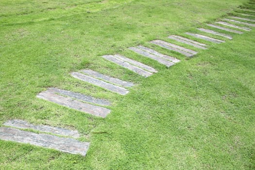 stone footpath garden grass green oblique lines.