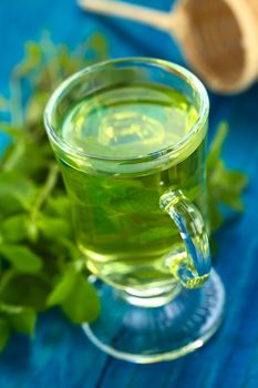 Freshly prepared mint tea out of fresh leaves served in glass cup with leaves on the side and strainer in the back (Selective Focus, Focus on the front rim of the glass)