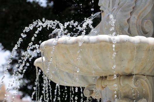 Water Splashing out of a Marble Fountain and Pigeon in Santa Cruz de Tenerife, Spain