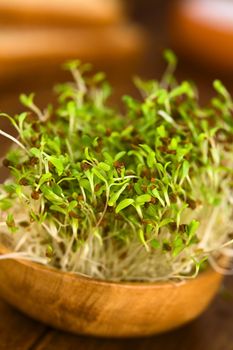 Sprouted alfalfa seeds on wooden spoon (Very Shallow Depth of Field, Focus on sprouts in the front)