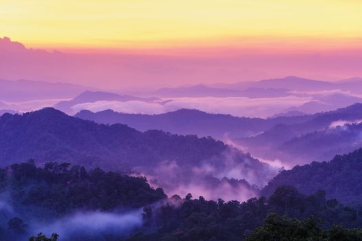 Beautiful twilight landscape in rain forest, Thailand.
