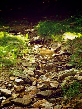 Beauty Forest Brook Between Stones and Green Grass on Lights and Shadows Outdoors Background