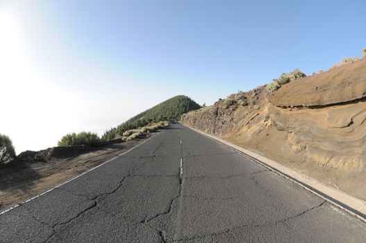 One Lonely Road in the Desert in Tenerife, Spain