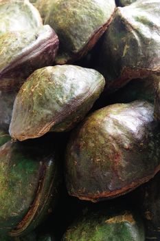 uk nieng, Djenkol bean fruit Photo captured with an iPhone