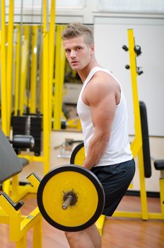 Handsome young man working out, exercising biceps with barbell at gym