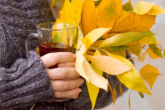 Female hand holding a glass of tea and autumn leaves