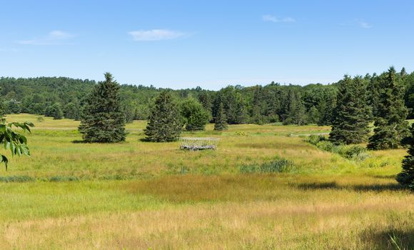 This image of a lush field and a hay wagon shows that Mount Desert Island in Maine is not all mountains.