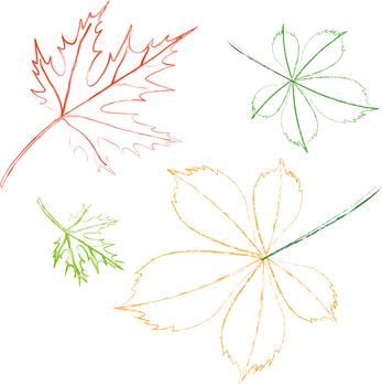 outline leaves on a white background