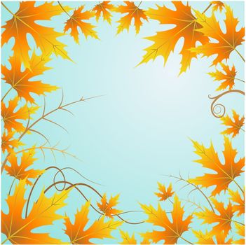autumn leaves on a blue background