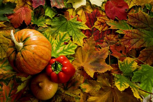 colorful leaves and vegetables during the autumn harvest