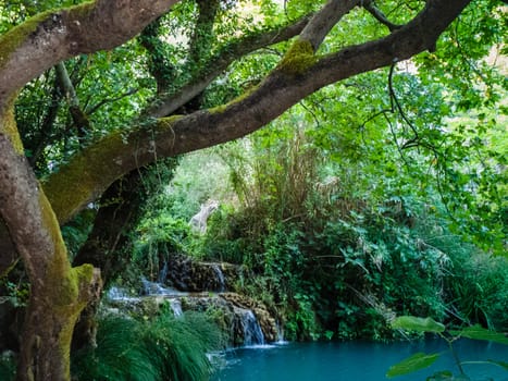 A blue lake in the forest with trees