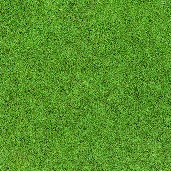 grass background